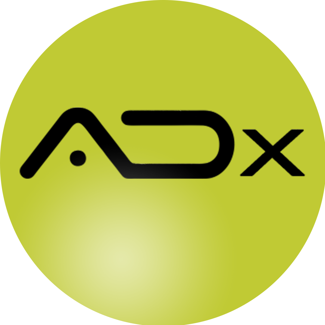 ADX Motorsports Argentina – electrónica y tableros para competición